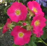 IMG_1580.JPG