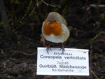P1150345.JPG