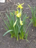 P1150280.webp