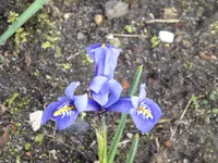 P1150281.webp