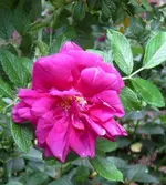 IMG_4847-001 (2).webp