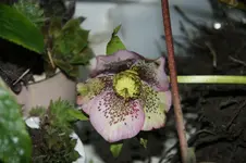 DSC08689.webp