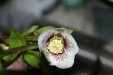 DSC08691.webp