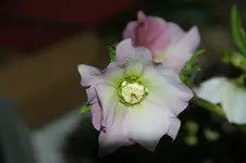 DSC08690.webp