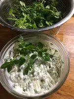 Vogelmiere Ricotta.webp
