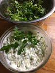 Vogelmiere Ricotta.JPG