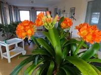 DSC00843.webp