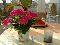 DSC00847.webp