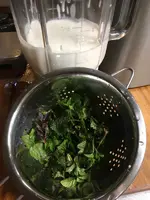 Girschkefir.webp