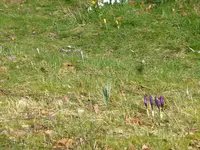 P1150360.webp