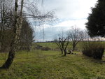 P1150365.JPG