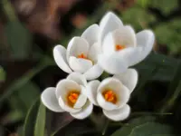 image001.jpg