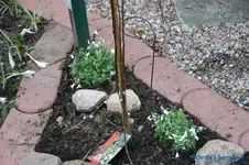 comp_DSC08704.webp