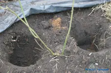 comp_DSC08705.webp