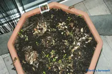 comp_DSC08708.webp