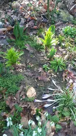20200228_121703.jpg
