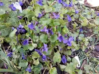 IMG_20200228_160828.webp