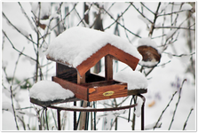 Wintereinbruch 4.webp