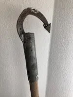 99073E0C-2E7E-4518-9E88-BA0BA5388A07.jpeg