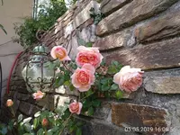 Abraham Darby1.webp