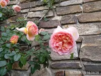 Abraham Darby3.webp