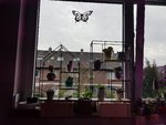20200301_170713.jpg