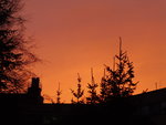 P1050016.JPG