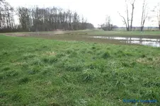 comp_DSC08724.webp