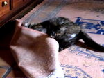P1020103.JPG