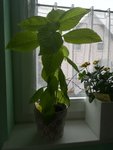 IMG_20200306_133331.jpg
