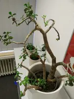 neu_von oben.webp