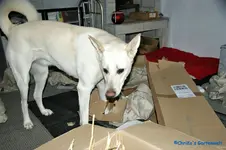 comp_DSC08734.webp