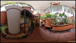 c014.webp
