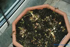 comp_DSC08744.webp