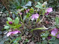 DSC00855.JPG