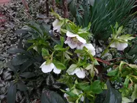 DSC00857.JPG