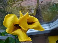 DSC00854.JPG