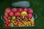 August0708.jpg