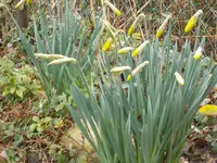 DSCN0073.webp
