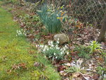DSCN0074.JPG