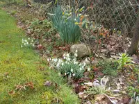 DSCN0074.webp