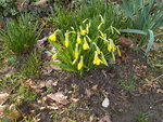 DSCN0075.JPG