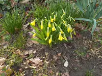 DSCN0075.webp