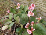 DSCN0083.JPG