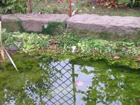 DSCF0148.webp