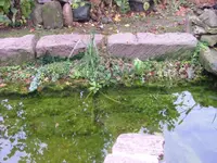 DSCF0149.webp