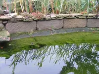 DSCF0150.webp