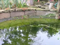 DSCF0151.webp