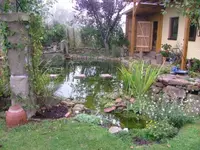 DSCF0152.webp