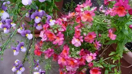 K800_schiete 149.webp